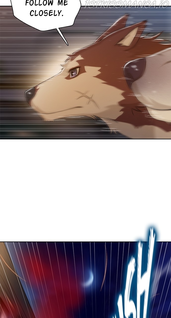 Chapter 5 - Image 4