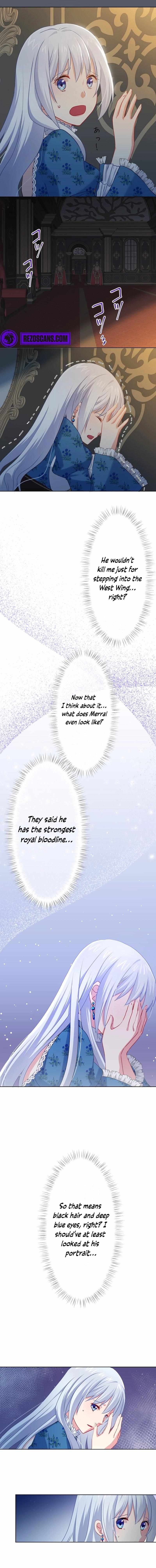 Chapter 2 - Image 26