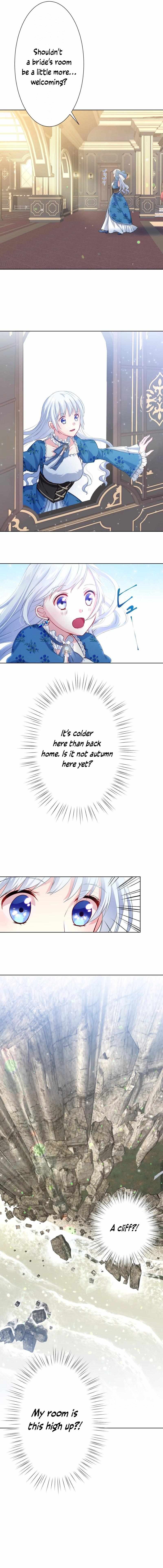 Chapter 2 - Image 5