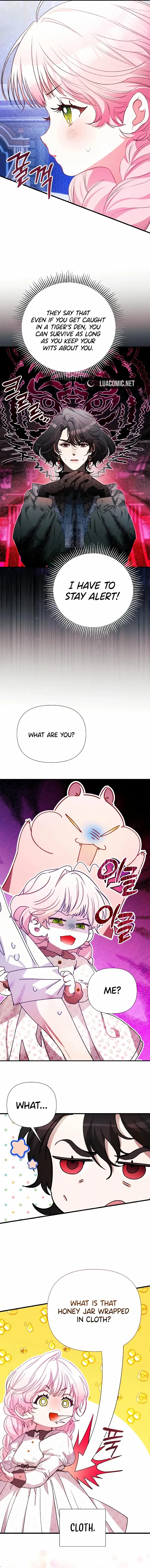 Chapter 2 - Image 12
