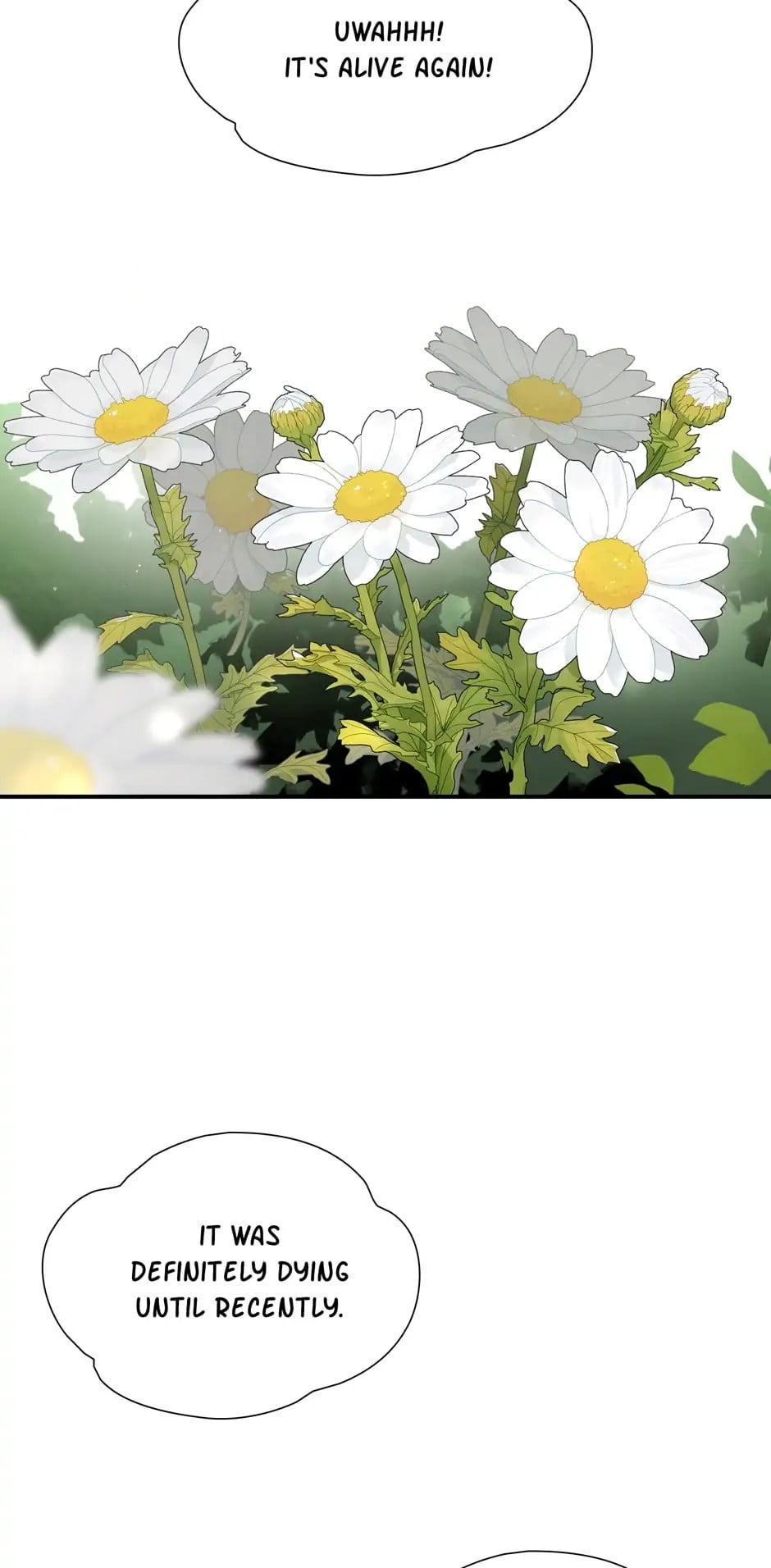 Chapter 1 - Image 29