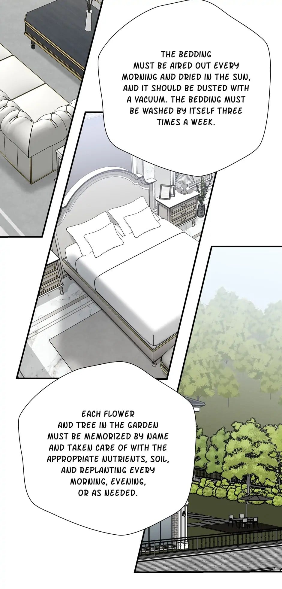 Chapter 3 - Image 6