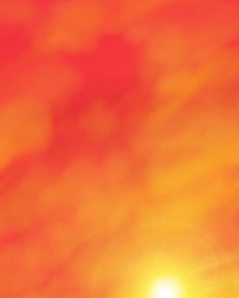 Chapter 27 - Image 4
