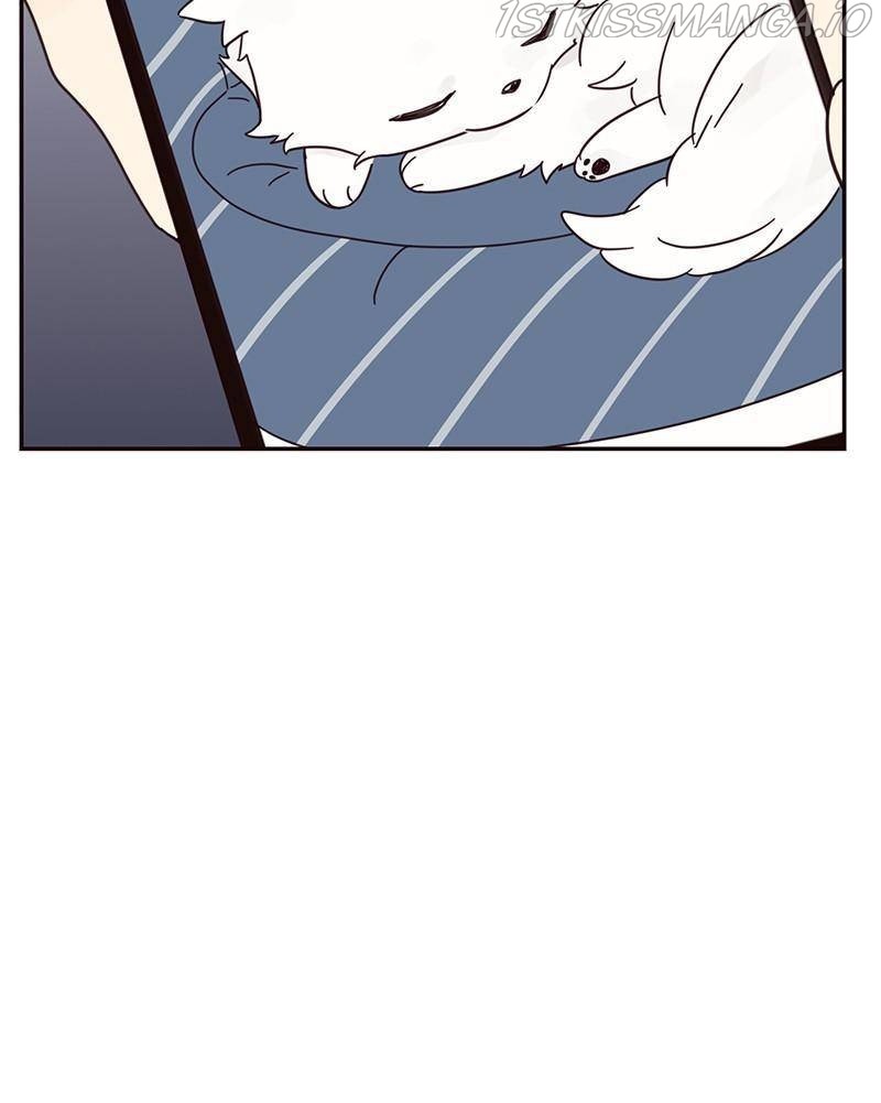 Chapter 13 - Image 17