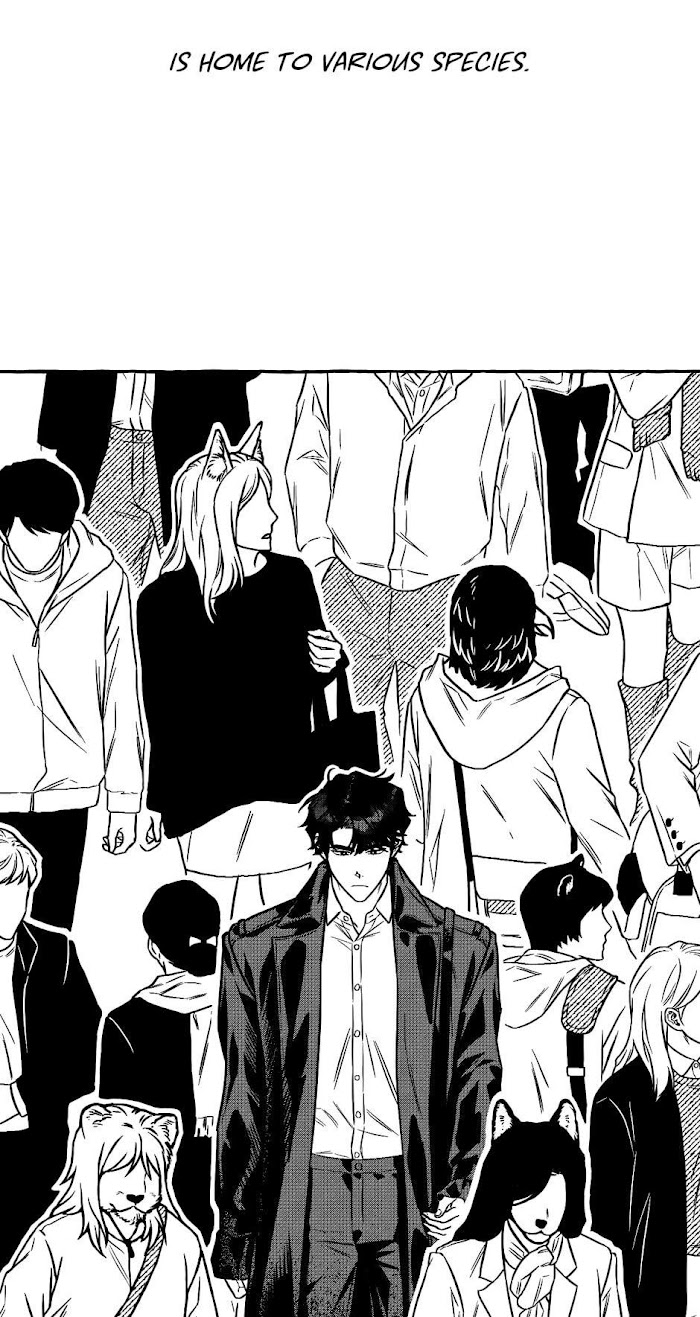 Chapter 1 - Image 3