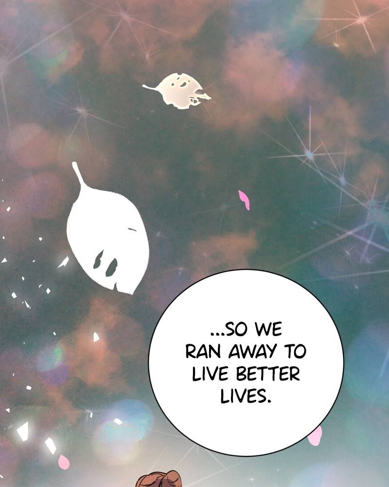 Chapter 17 - Image 11
