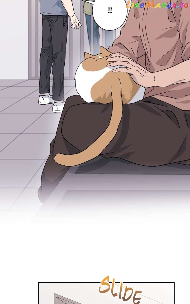 Chapter 37 - Image 40