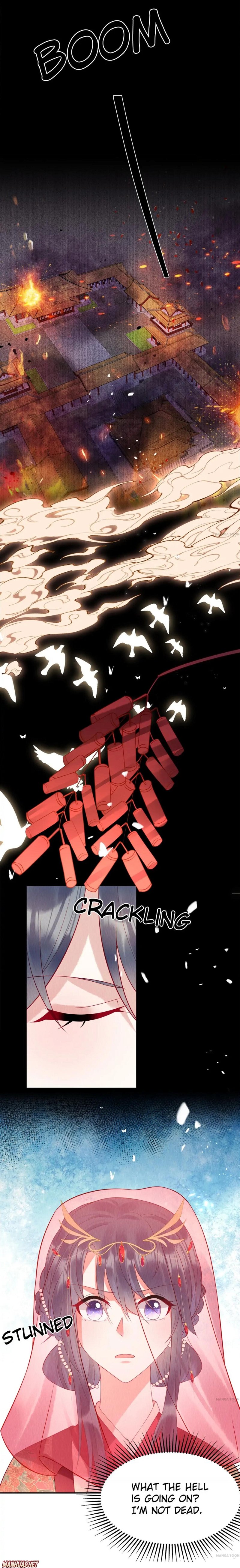 Chapter 1 - Image 3