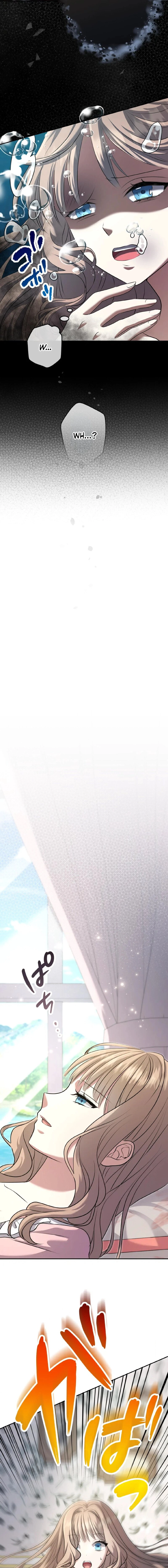 Chapter 1 - Image 11