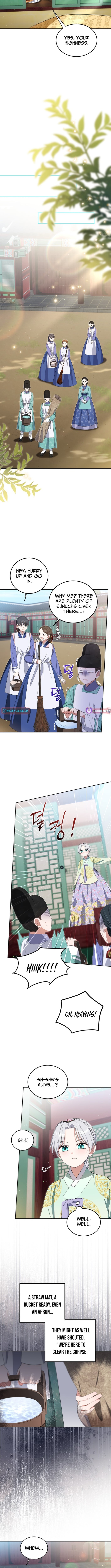 Chapter 11 - Image 6