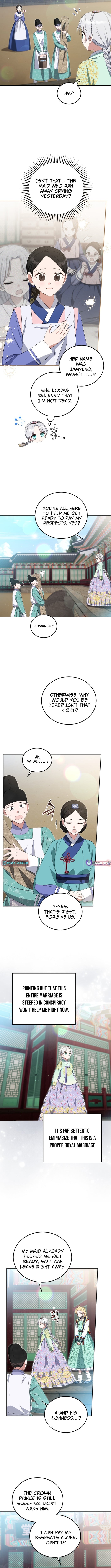 Chapter 11 - Image 7