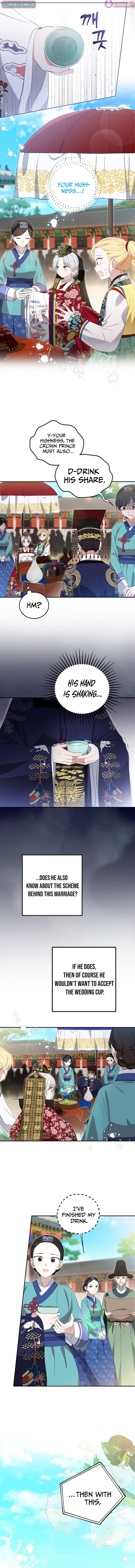 Chapter 7 - Image 5