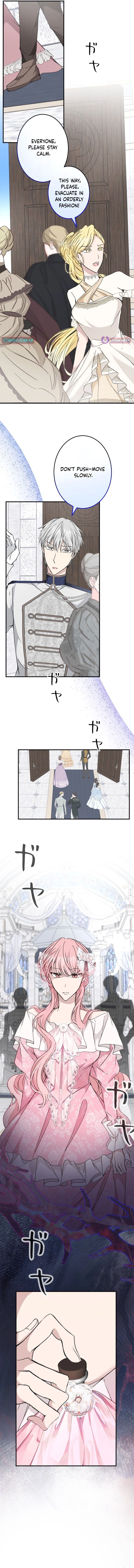 Chapter 28 - Image 6