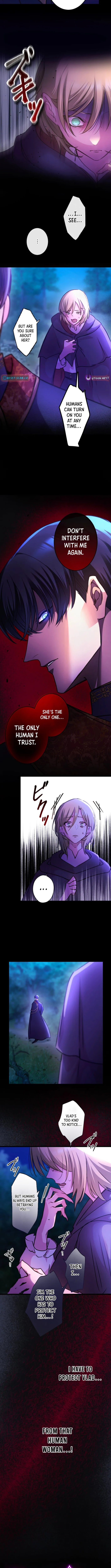 Chapter 17 - Image 4