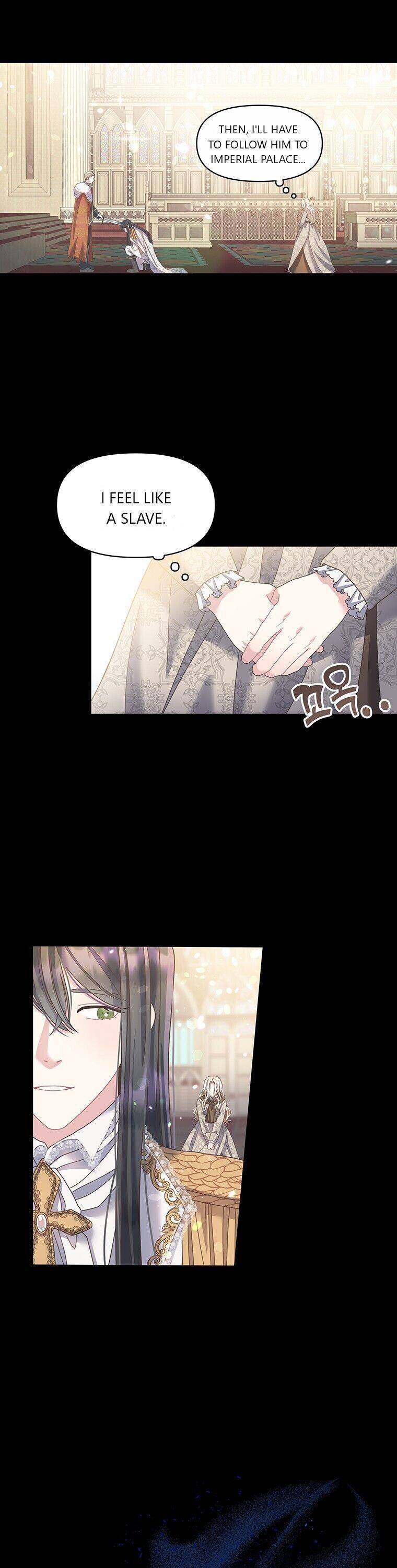 Chapter 2 - Image 13