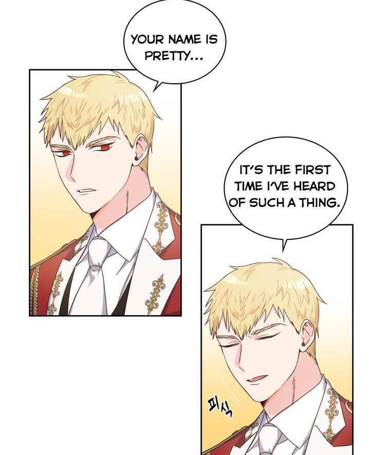 Chapter 3 - Image 14