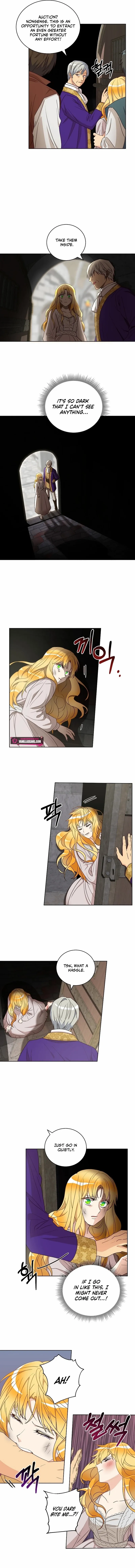 Chapter 5 - Image 2