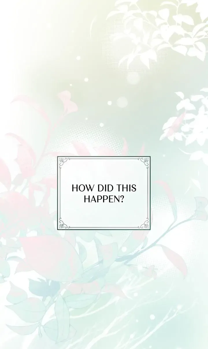Chapter 0.1 - Image 16