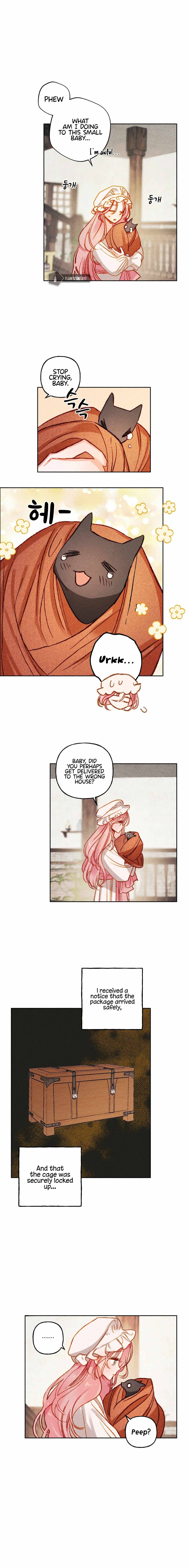 Chapter 1 - Image 11