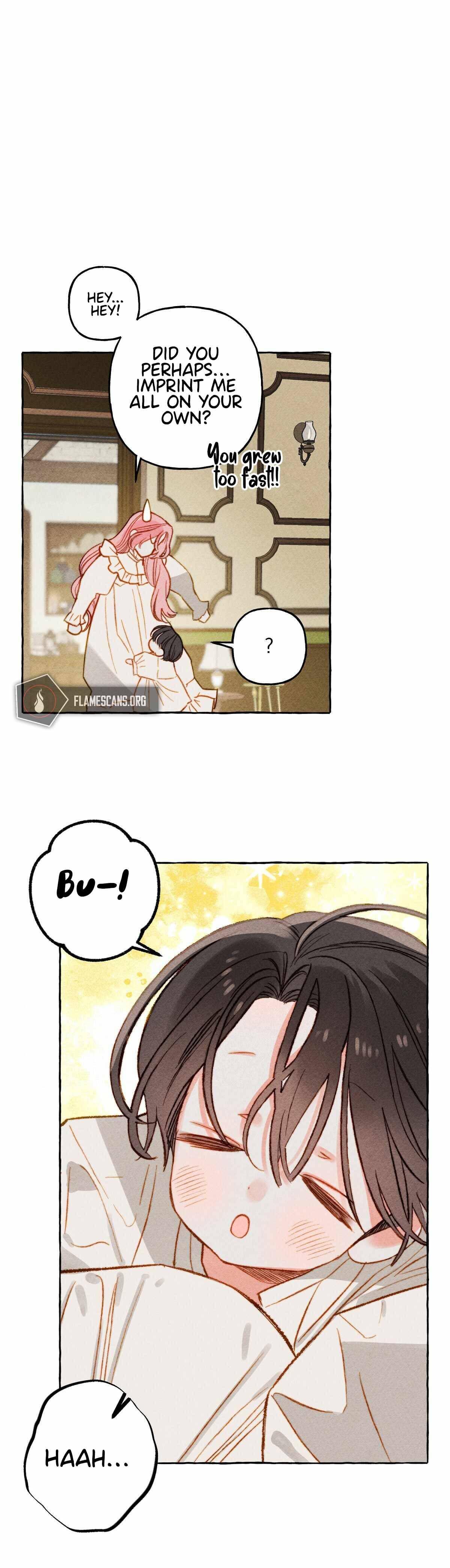 Chapter 2 - Image 4