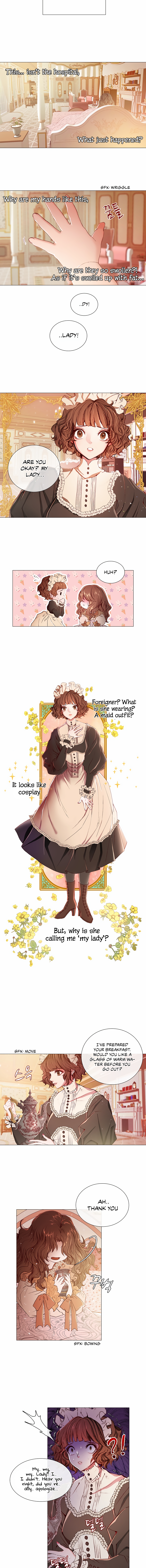 Chapter 1 - Image 2
