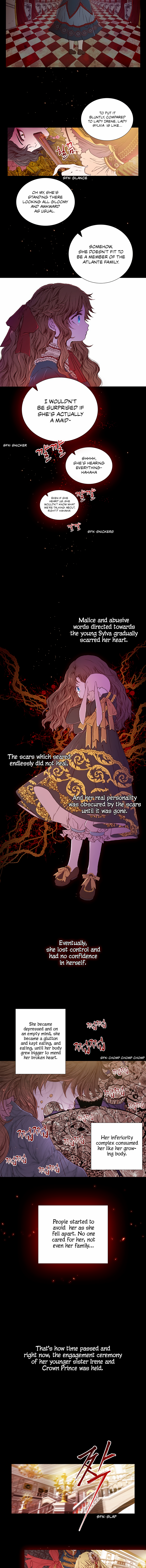Chapter 1 - Image 6