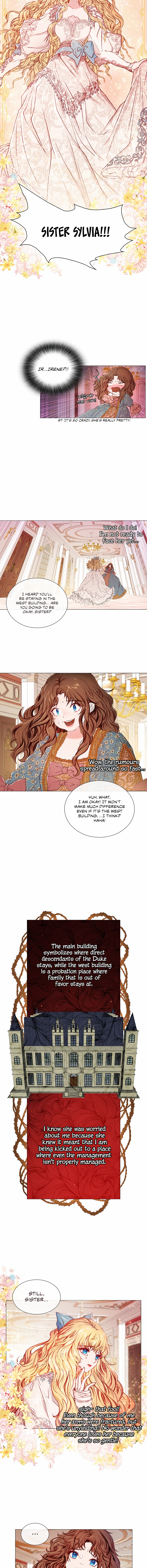 Chapter 2 - Image 7