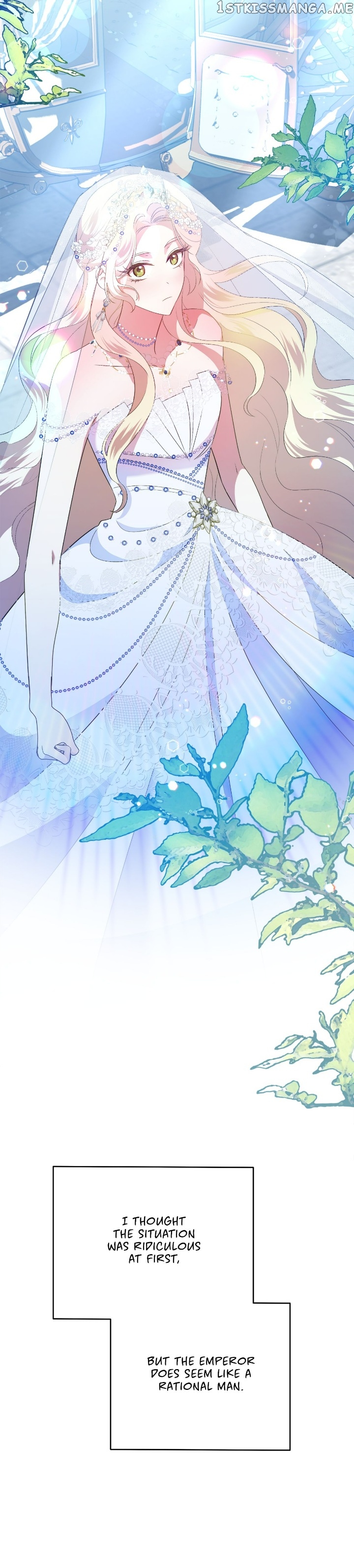 Chapter 15 - Image 33