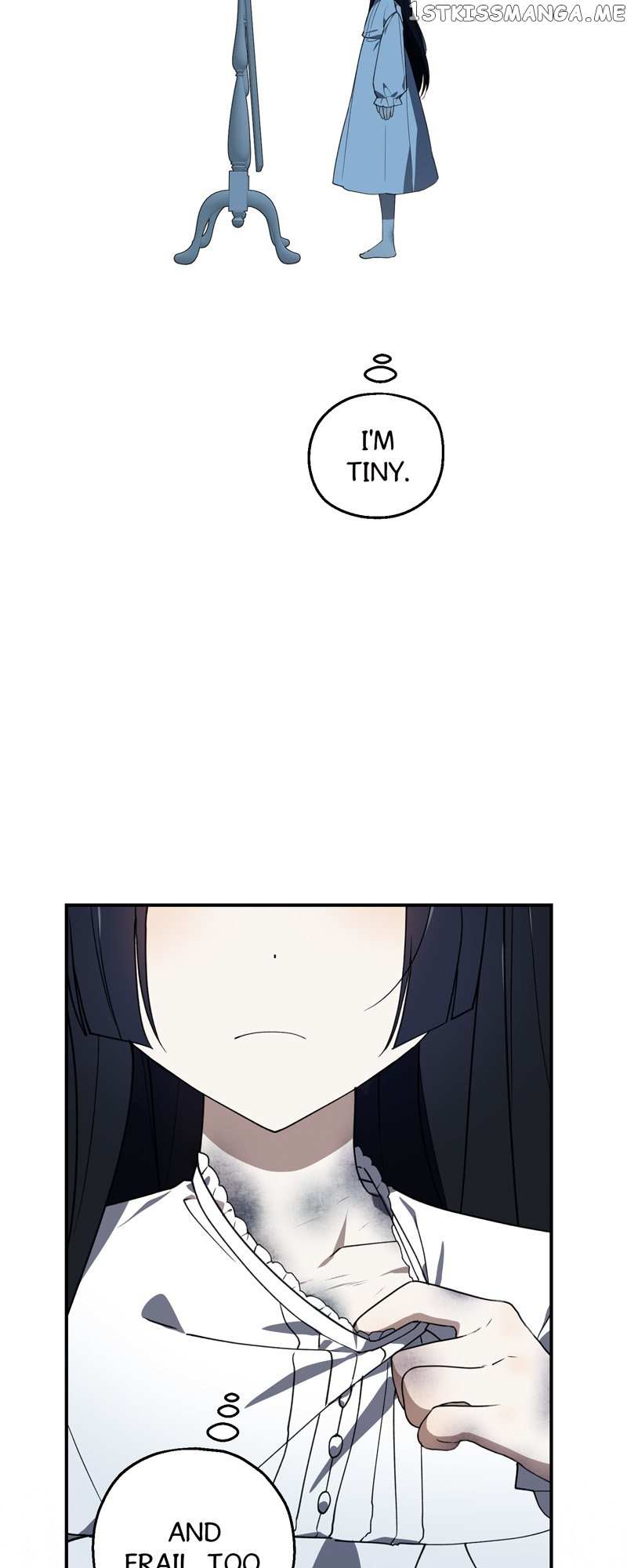 Chapter 2 - Image 26