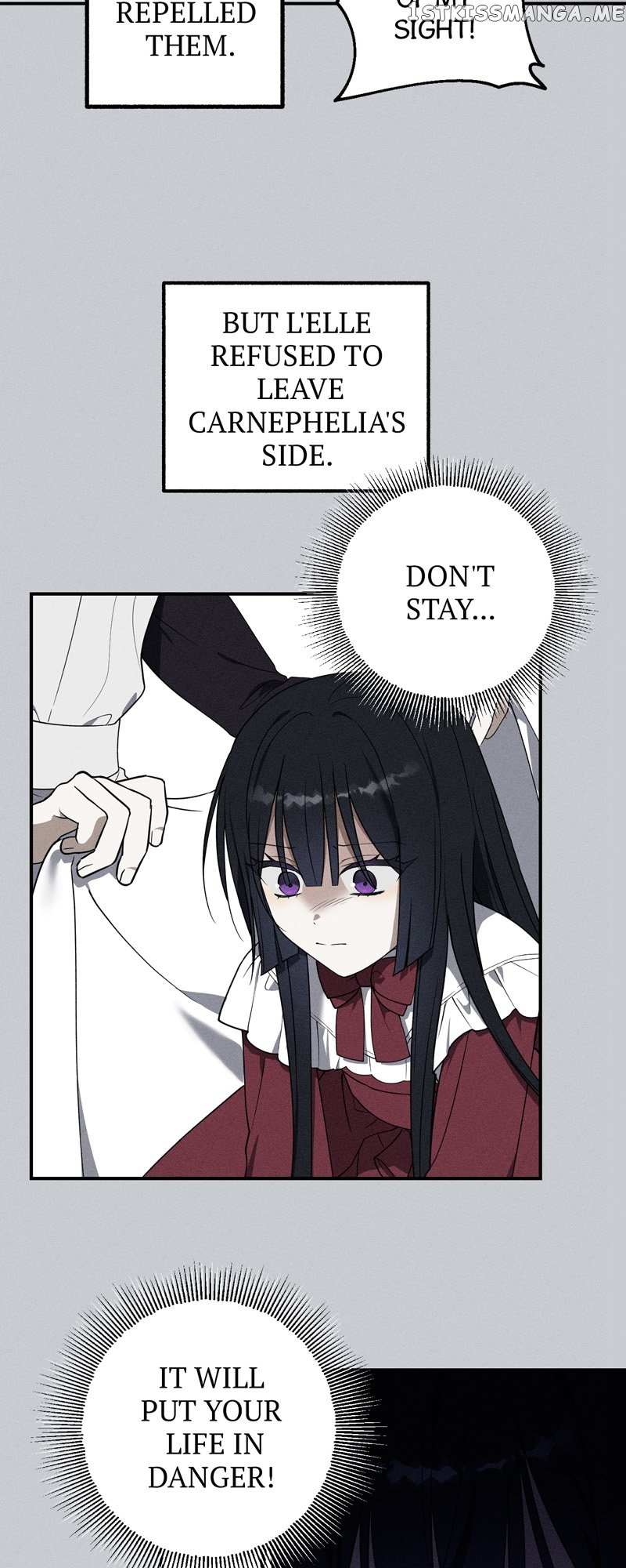 Chapter 7 - Image 4