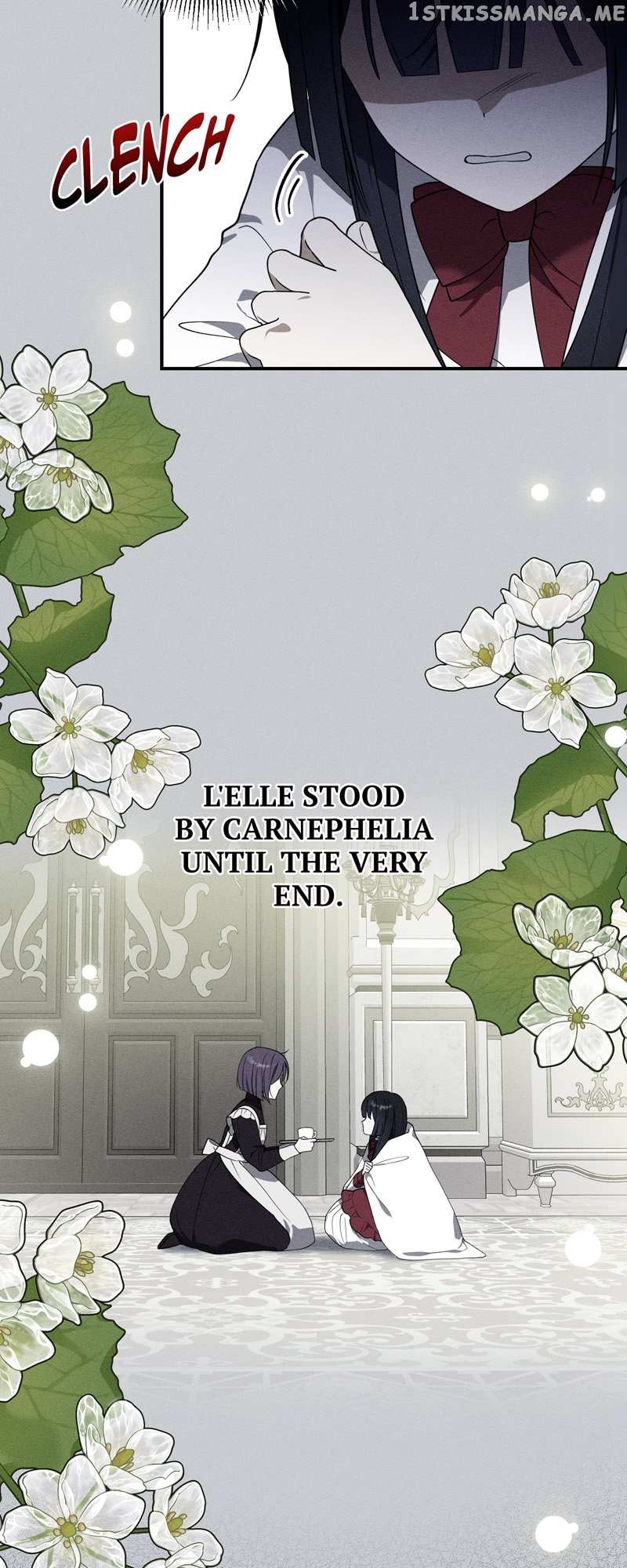 Chapter 7 - Image 5