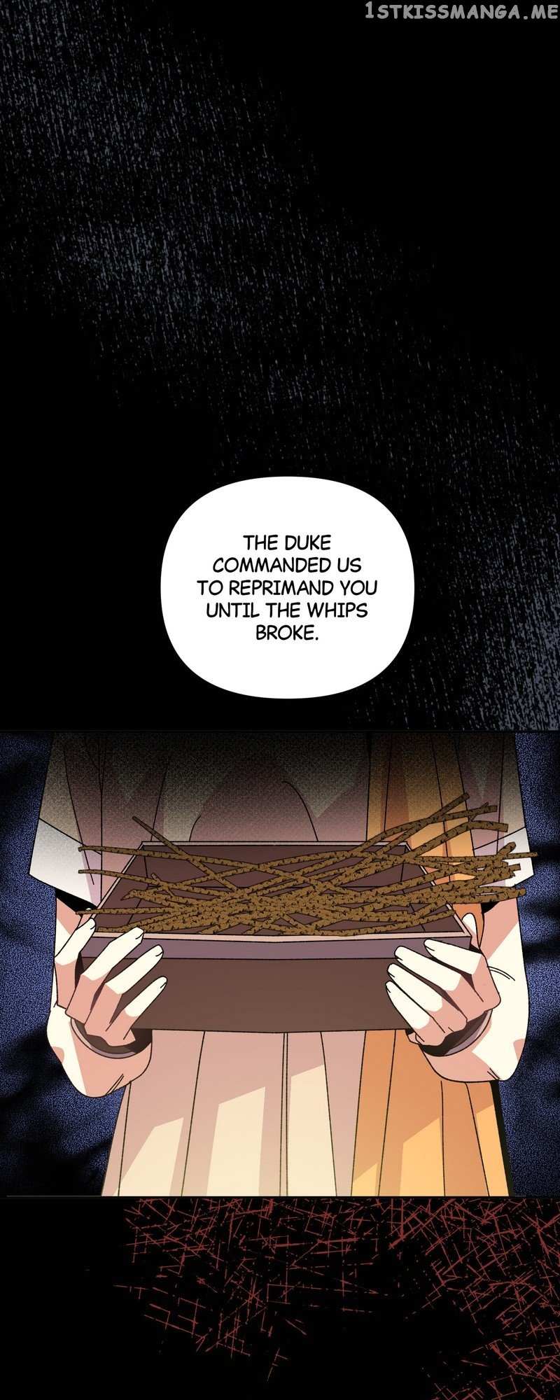 Chapter 8 - Image 5