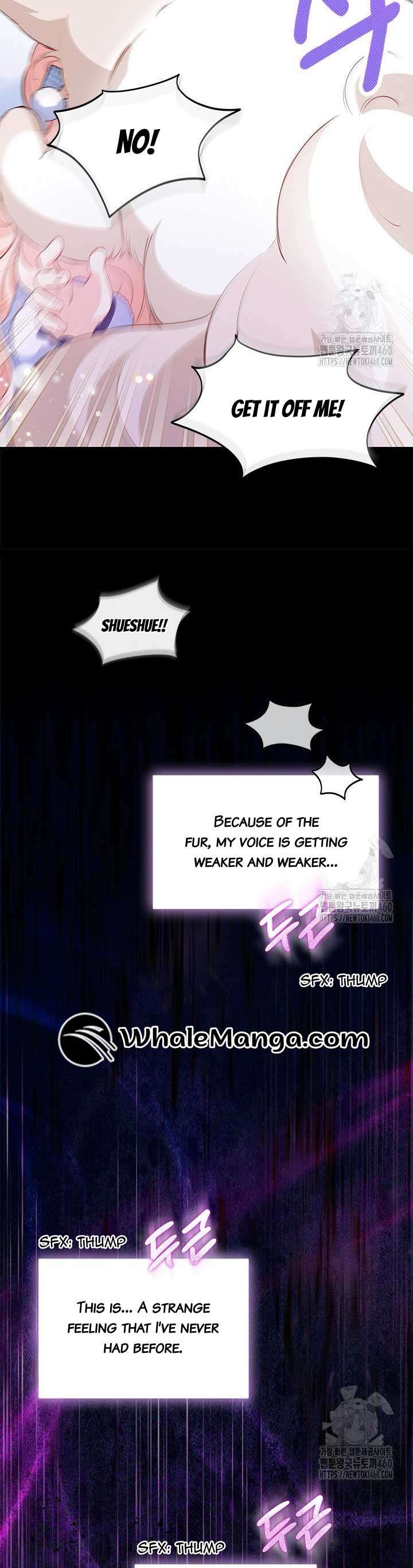 Chapter 27 - Image 10