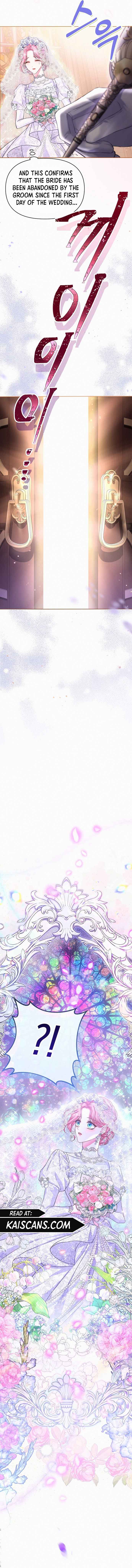 Chapter 1 - Image 14