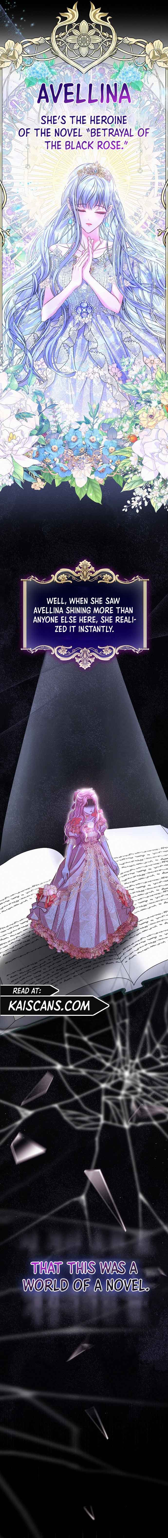 Chapter 1 - Image 6