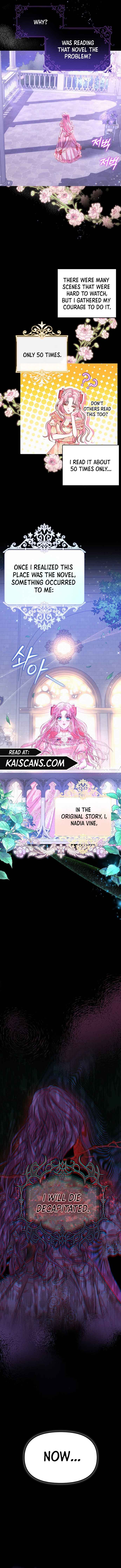 Chapter 1 - Image 8