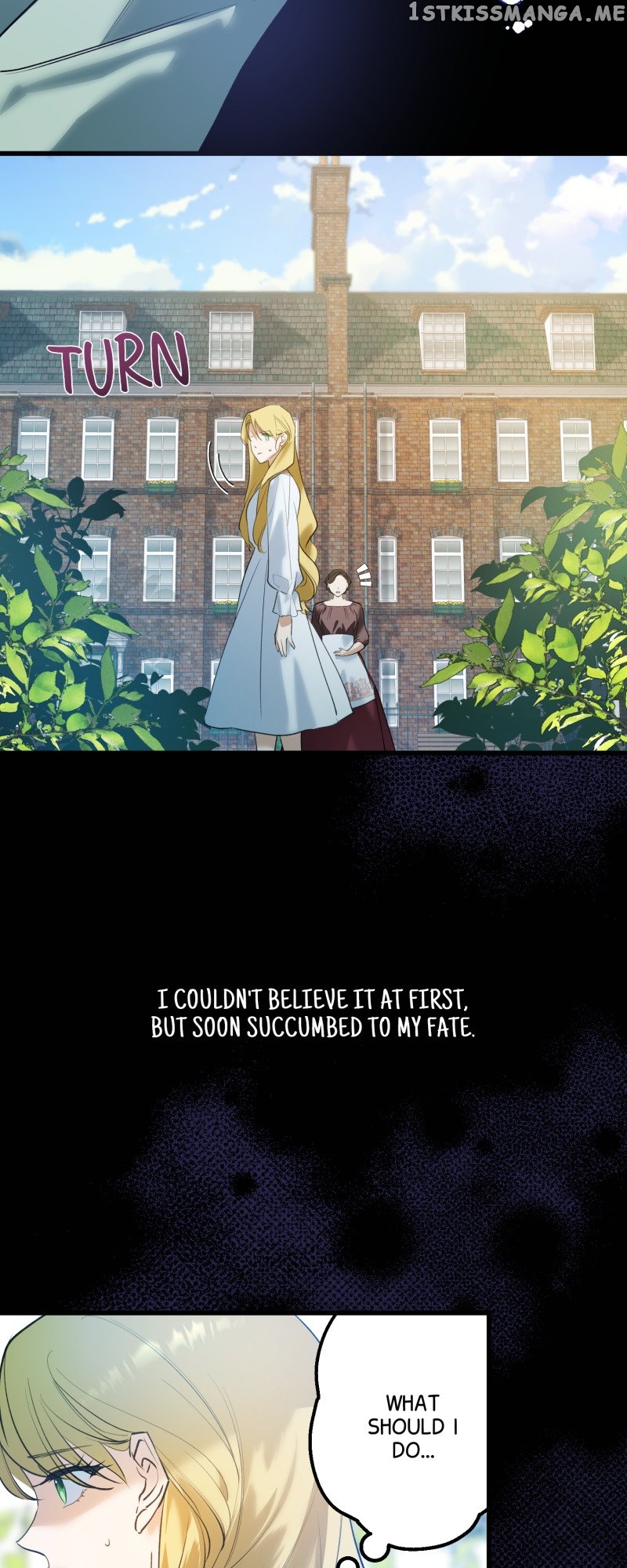 Chapter 2 - Image 12