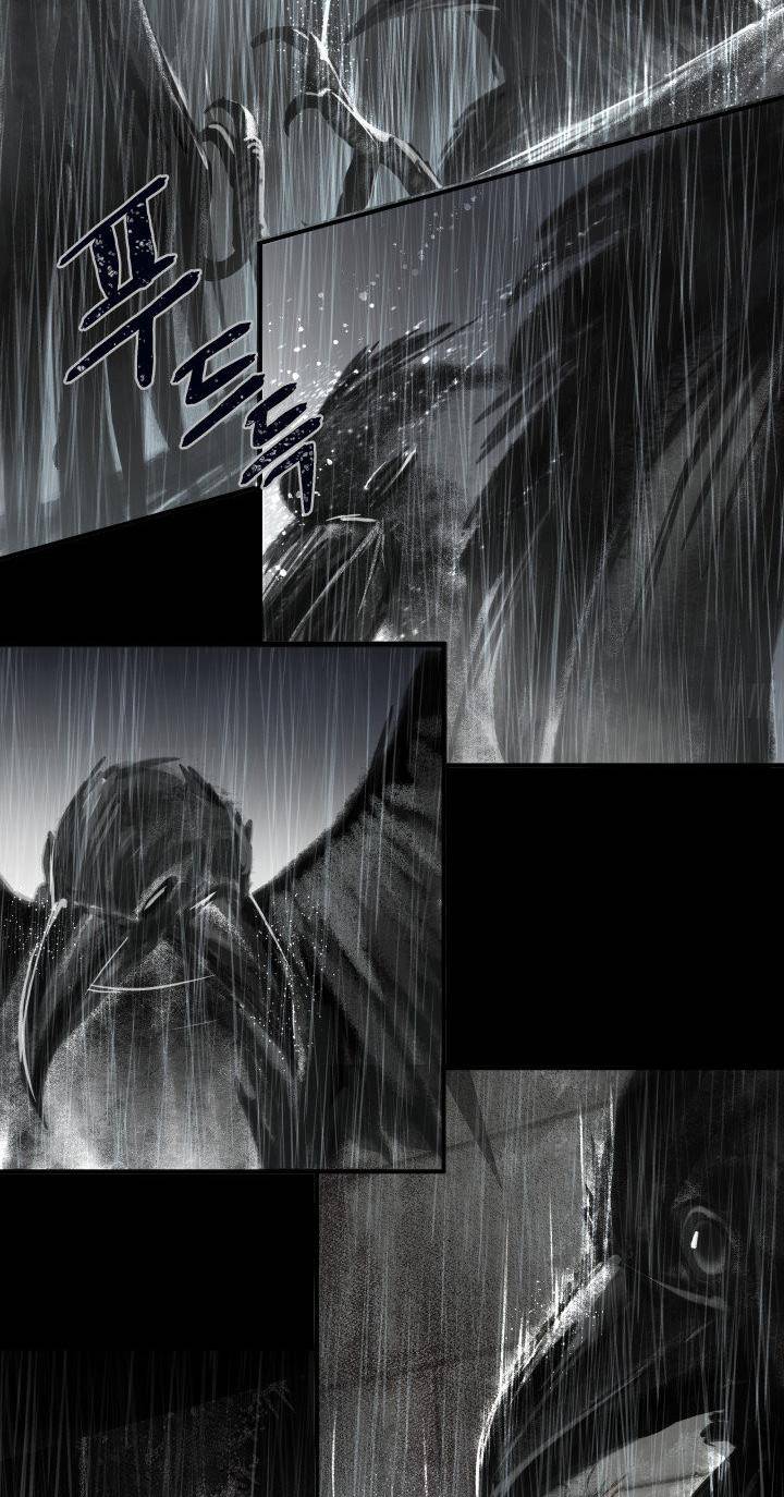Chapter 1 - Image 88