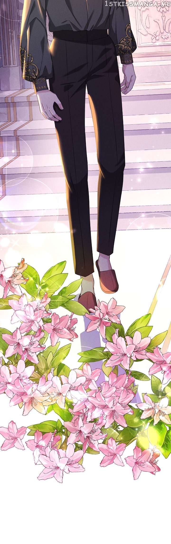 Chapter 24 - Image 3