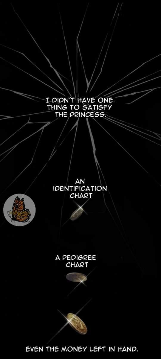 Chapter 8 - Image 5