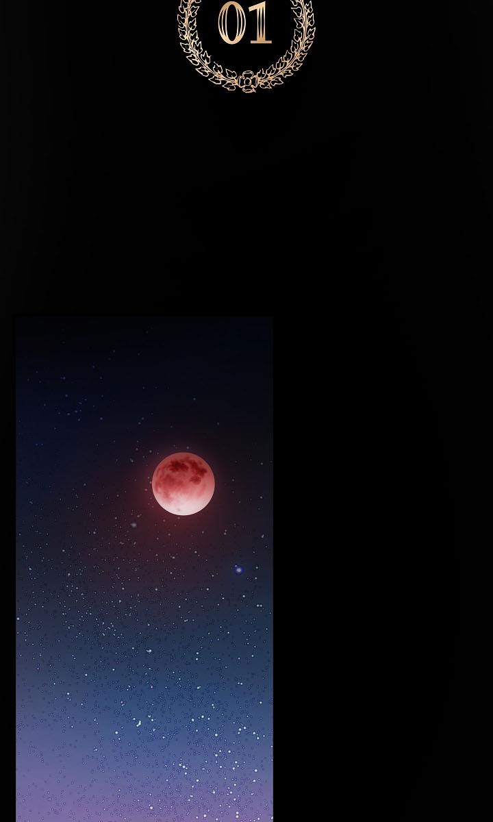 Chapter 1 - Image 2