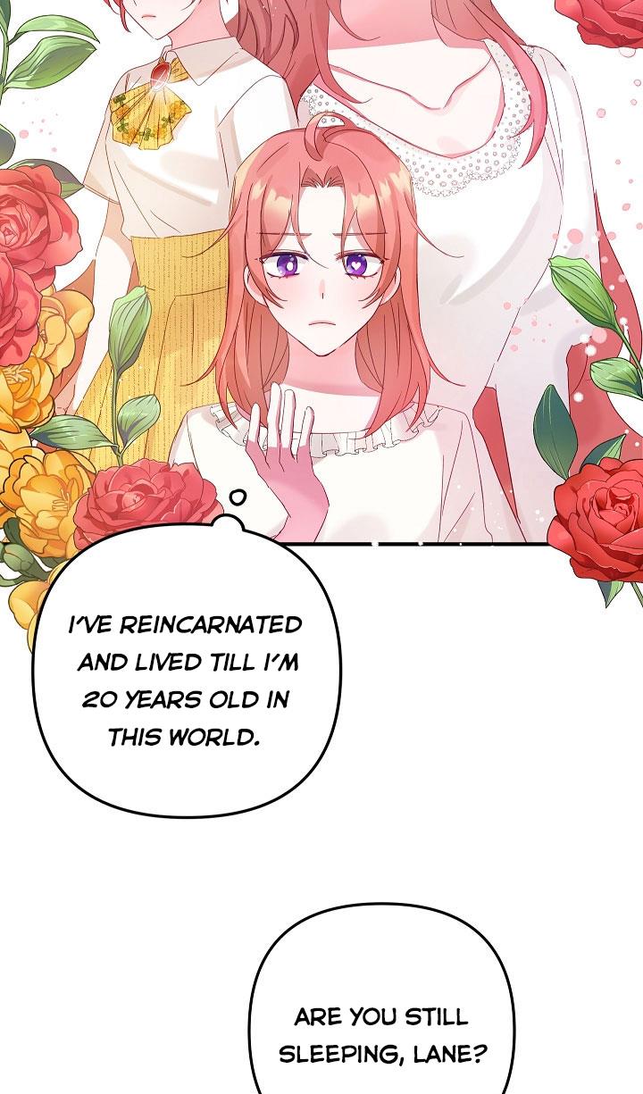 Chapter 2 - Image 6