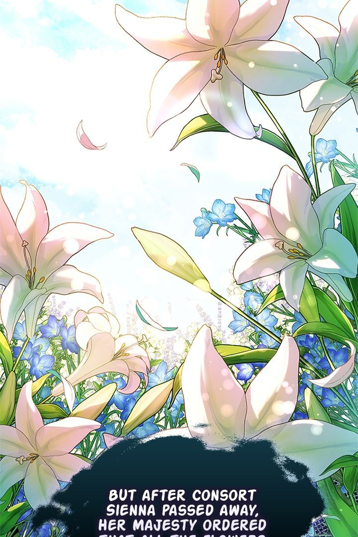 Chapter 63 - Image 83