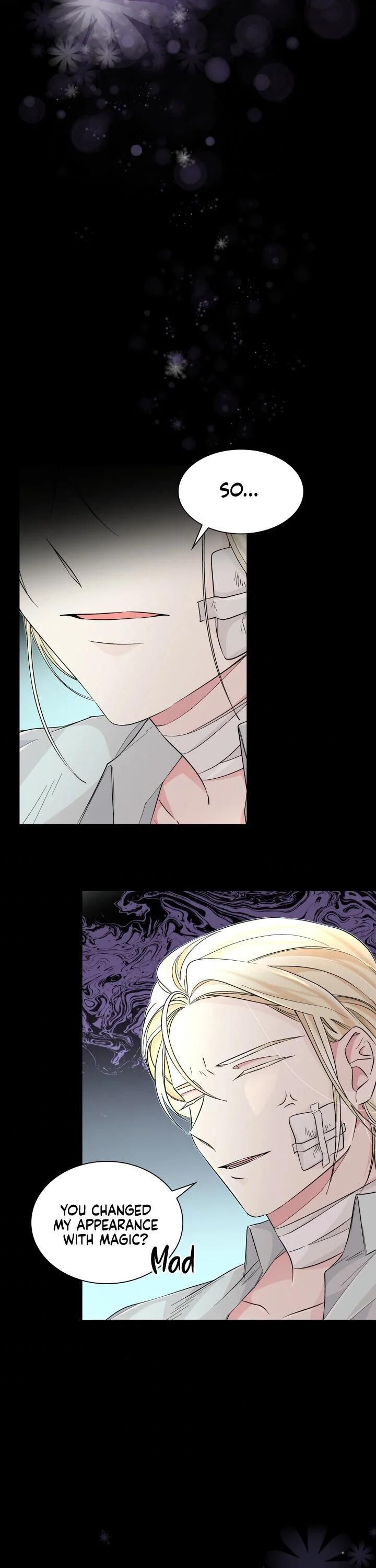 Chapter 21 - Image 3