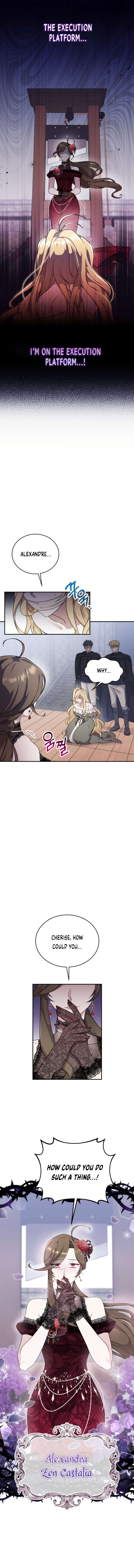 Chapter 1 - Image 2
