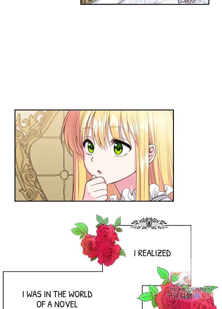 Chapter 1 - Image 26