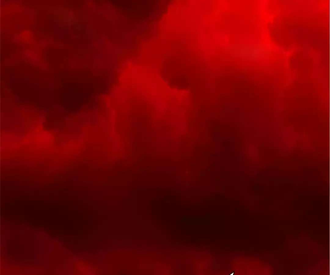 Chapter 269 - Image 11