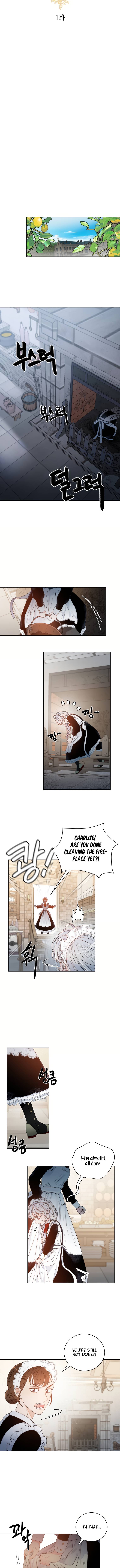 Chapter 1 - Image 4