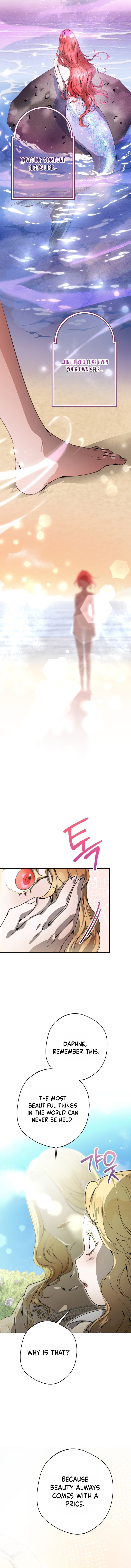 Chapter 1 - Image 3