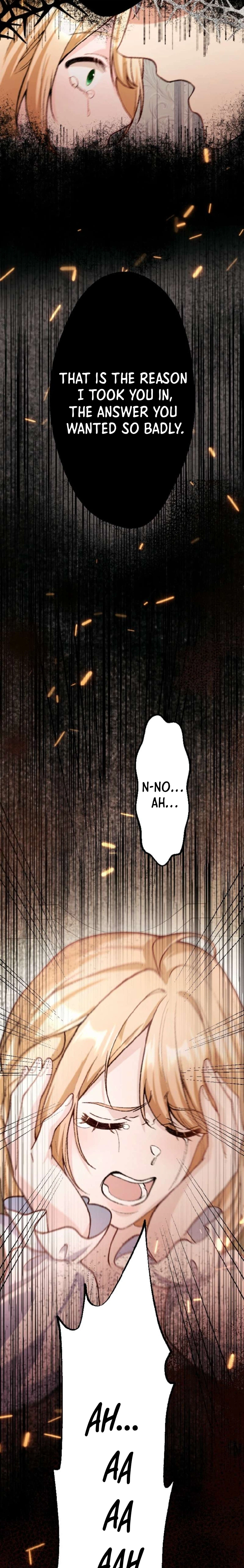 Chapter 1 - Image 30